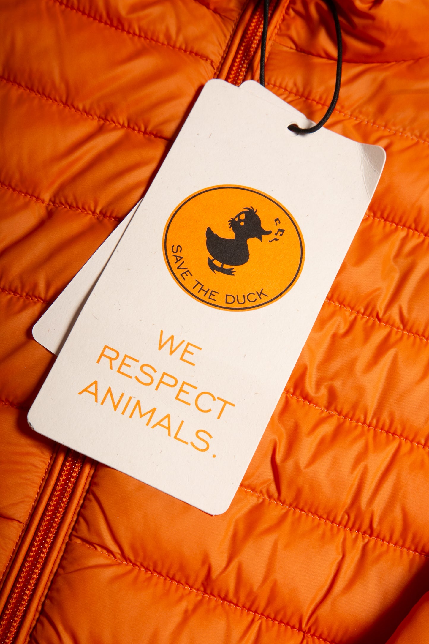 Save The Duck | Faux Down Coat